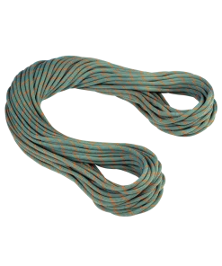 Mammut Gear 9.9 Crag Workhorse Dry Rope