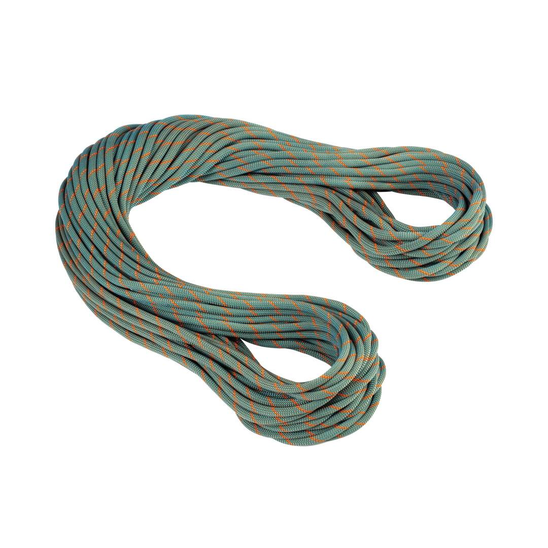 Mammut Gear 9.9 Crag Workhorse Dry Rope 1 Mammut Gear 9.9 Crag Workhorse Dry Rope