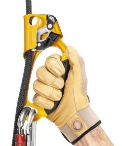 Petzl Gear Ascension Ascender