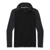 Smartwool Clothing Merino 250 Base Layer Hoodie Men's