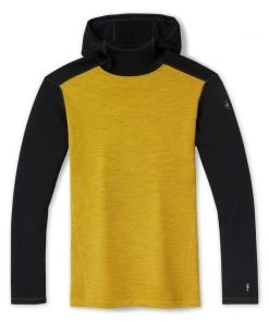 Smartwool Clothing Merino 250 Base Layer Hoodie Men's