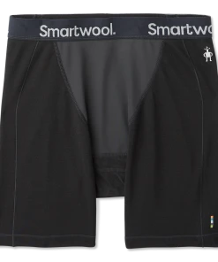 Smartwool Clothing Merino Sport 250 Wind Boxer Brief Men's